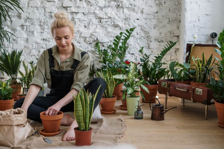 Natural Pest Control: 8 Homemade Recipes That Actually Work